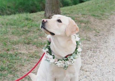 Allestimenti floreali per matrimoni Crespo Garden